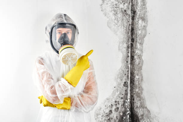 Best Forensic Mold Investigation  in Elizabethtown, NC