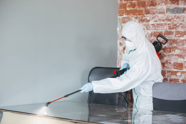 Best Residential Mold Inspection & Testing  in Elizabethtown, NC